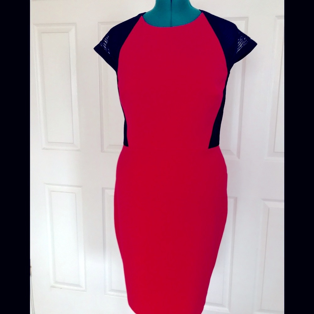 Breathtaking Cache dress, size 12.